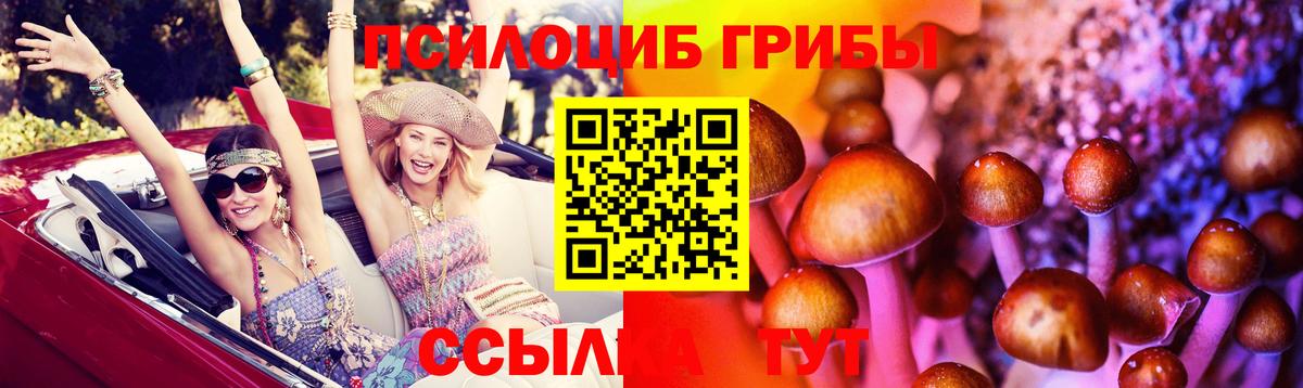 Гудермес  Псилоцибиновые грибы Magic Shrooms  Вход с VPN 