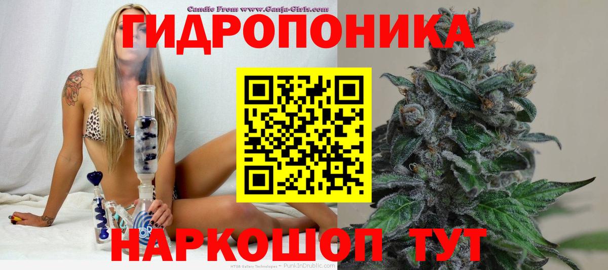 Бошки Шишки Amnesia Гудермес